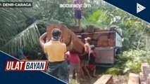 Higit P100,000 halaga ng smuggled na kahoy, nakumpiska sa Rosario, Agusan del Sur