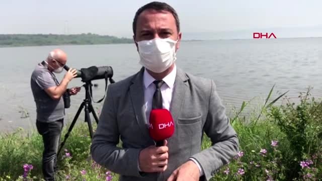 YALOVA Kuş türünün 224'e çıktığı Hersek Lagünü'nde engellilere özel gözlem kulesi