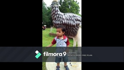 Jarif- ভারত সীমান্তে মনোরম লোকেশনের অপরূপ সুন্দর পাহাড় (2)