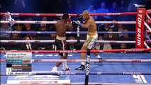 Carlos Adames vs Juan Ruiz Full Fight