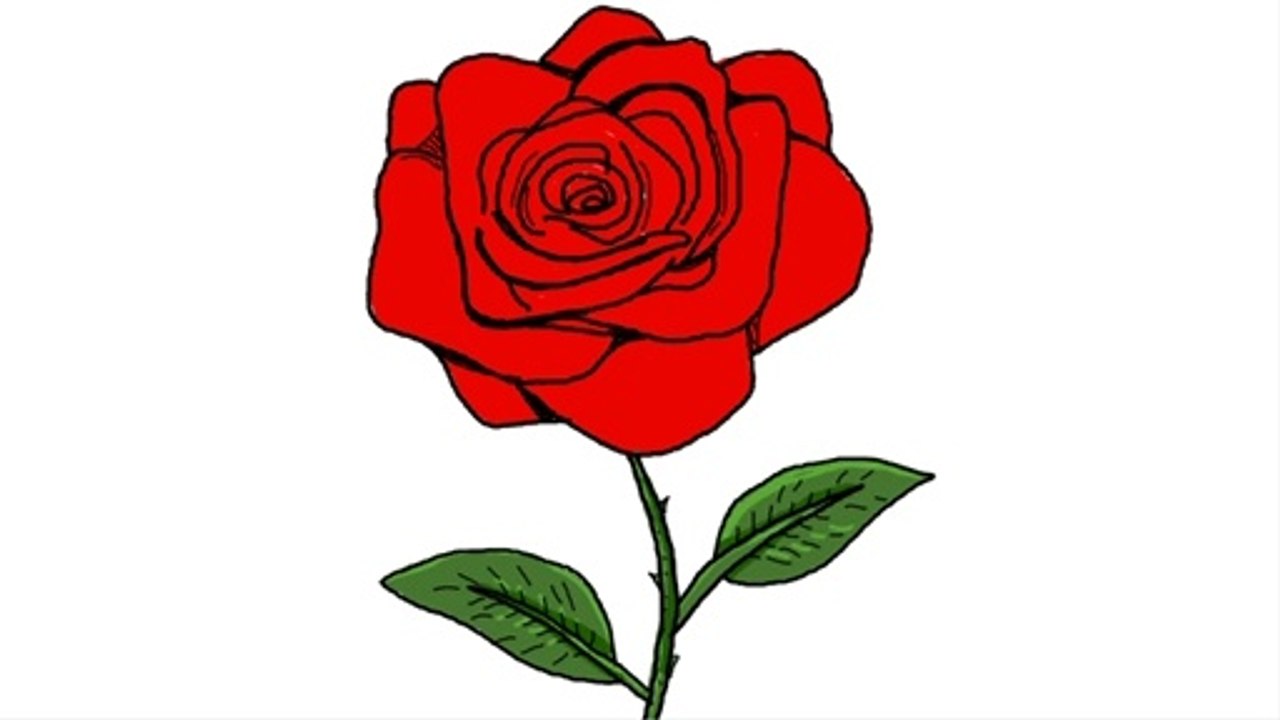Rose Coloring and Drawing for Kids, Toddlers