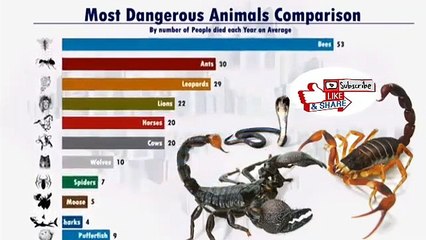 Most Dangerous Animals Comparison- More dangerous than COVID-19
