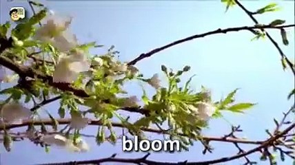 What A Wonderful World… (clip)