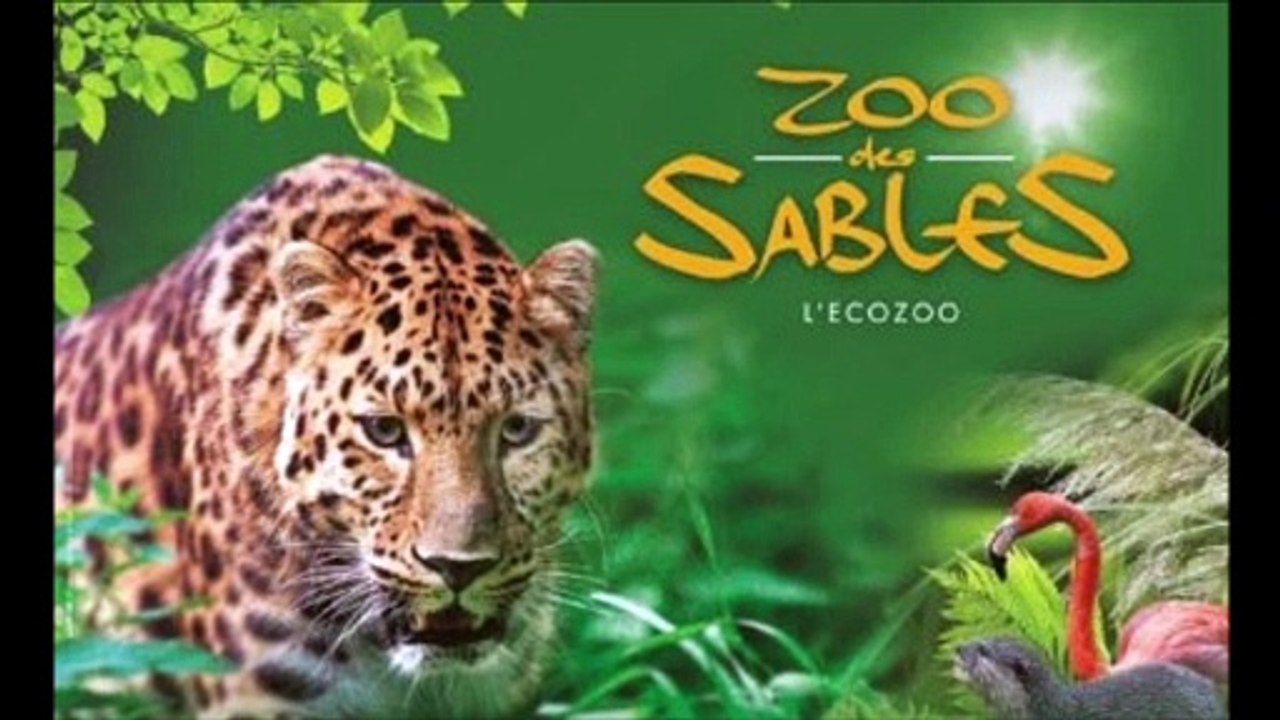 Visite au Zoo des Sables D ' Olonne  : Réouverture , Samedi 16 Mai 2020