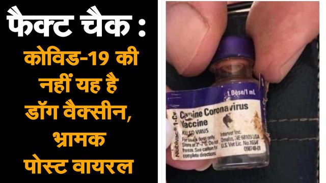 Fact Check : कोविड-19 की नहीं यह है डॉग वैक्सीन, भ्रामक पोस्ट वायरल
