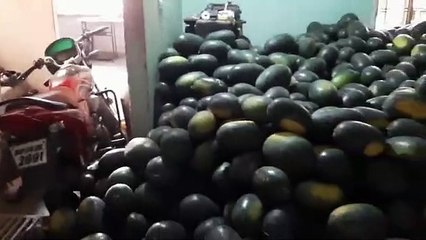 निगम और पुलिस ने अवैध फल सब्ज़ी का कारोबार पकड़ा