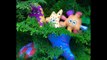 HAAHOOS Toys Hiding Climbing Game-
