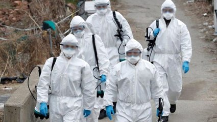 Dünya genelinde koronavirüs ölenlerin sayısı 310 bini geçti