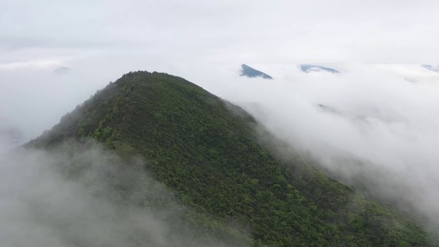 Do you love Natures? | Jungle | Waterfall | Hills | Clouds | Autumn