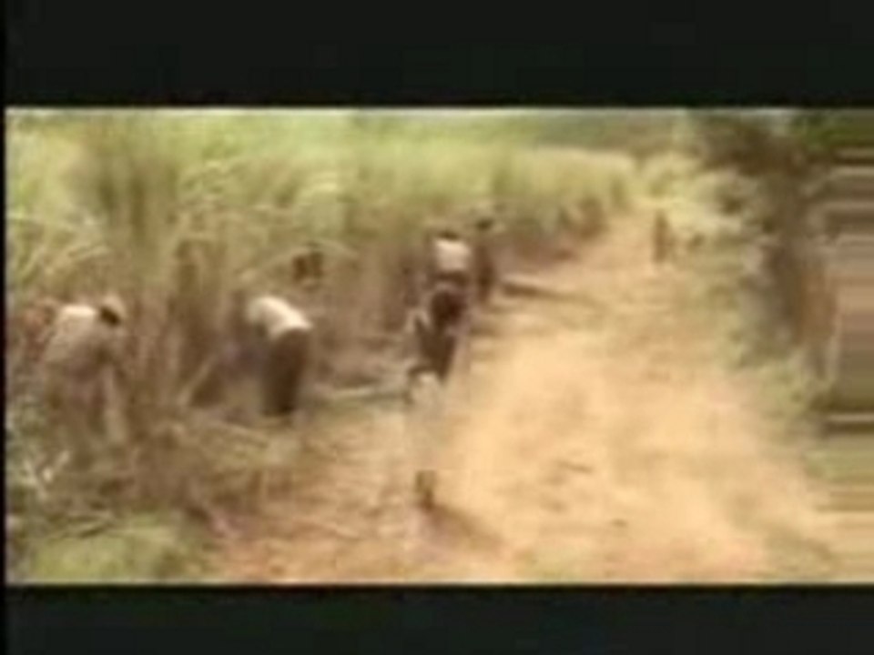 Nathalie Cardone - Hasta siempre (Che Guevara)