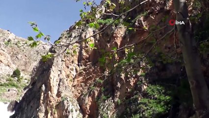 Doğada 'Korona Virüs' Sessizliği