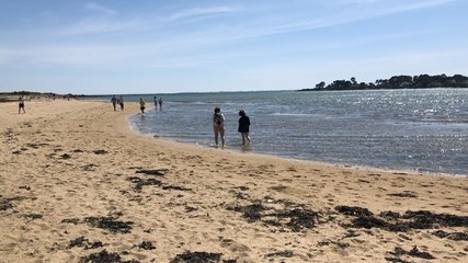 Déconfinement. De Carnac à Quiberon, balade sur le littoral