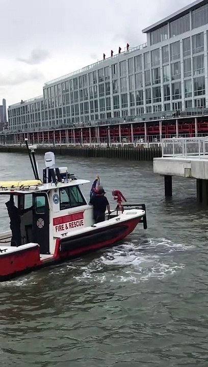 Saving a Deer that Jumped into the Hudson River