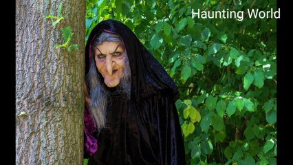 जंगल की चुडैल jungle Ki Chudail (Witch of Forest) Hindi horrar Stories )