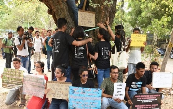 Nation Reporter: Delhi High Court freezes cutting of trees