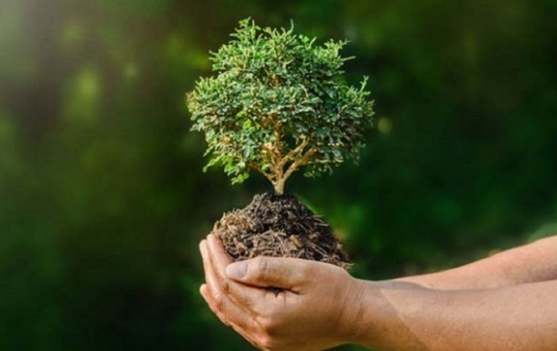 World Environment Day 2018: 'Beat Plastic Pollution'