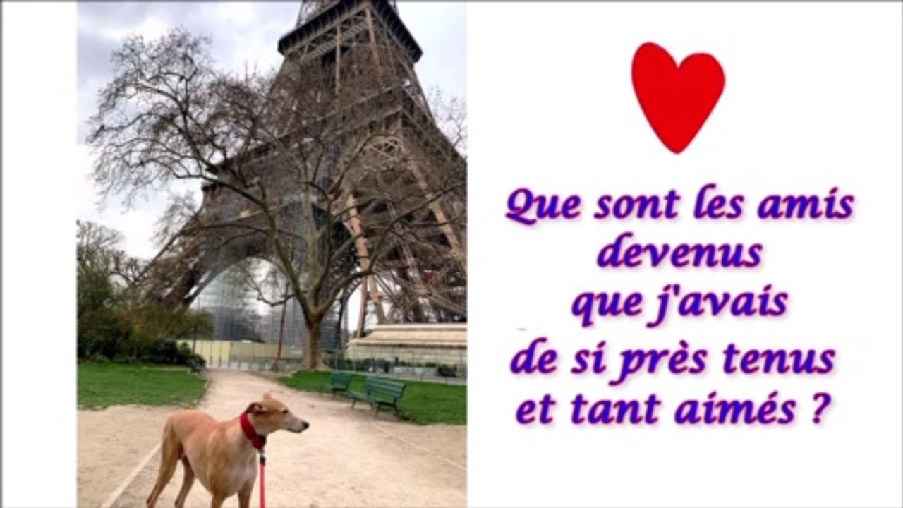 galga-manola-nous-conte-le-confinement-mai2020