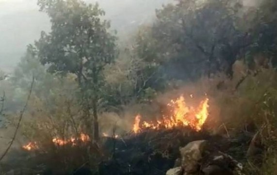 Forest fires reaches residential areas in Uttarakhand, continues to spread on 11th day