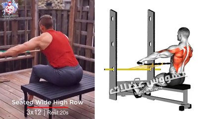 Best workouts at home exercise for back body