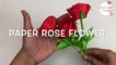 Paper Flowers | Very Easy Paper Rose Flower | PAPER ROSE FLOWERS | Paper Craft | Paper Craft Flowers