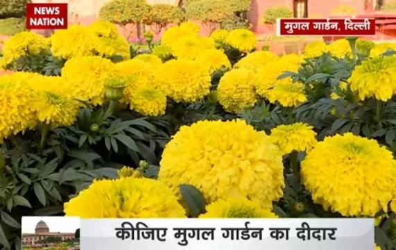 Mughal Garden at Rashtrapati Bhawan opens for public from today