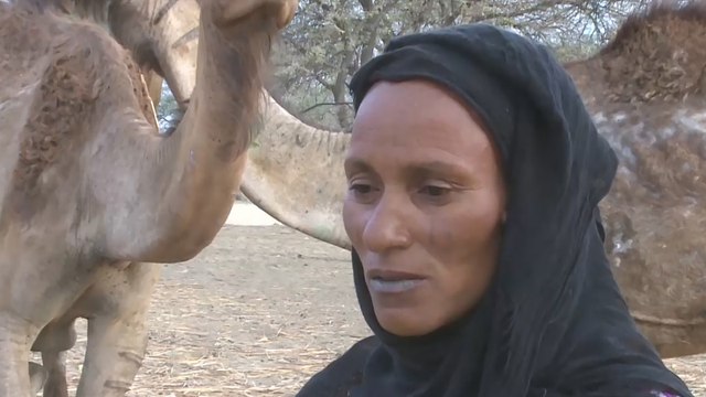 كورونا وتداعياته يفاقمان معاناة البدو الرحل في تشاد