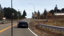 Black Ford Mustang Donut