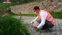 Vefalı eller bu kez Tunceli'de yavru tilkiyi besledi