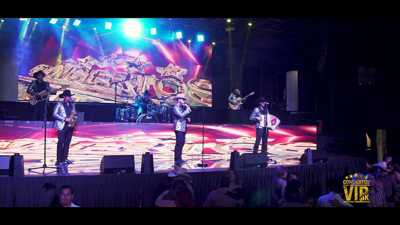 Demo de Conciertosvip4k