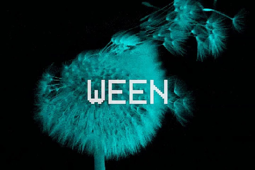 MVGEN: ween : Loop De Loop Lyrics