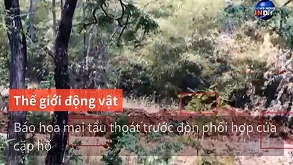 baodatviet.vn.my-copy2-20200517-14:39