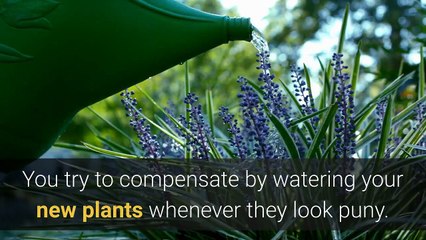 Choosing Plants for Your Landscape: Follow Nature’s Lead || Article Gallery