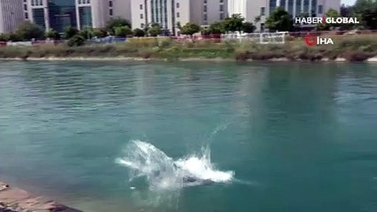 Ölümüne serinlik! Polisi görünce çıplak kaçtılar