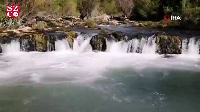 Dünyada sadece Van Gölü'nde yaşıyorlar...Uçan balıkların göçü başladı
