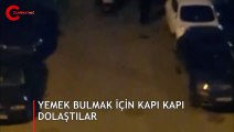 Yemek bulmak için kapı kapı dolaştılar