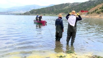 ÇORUM 'Canavar' adı verilen gümüş balığı avcılığı başladı