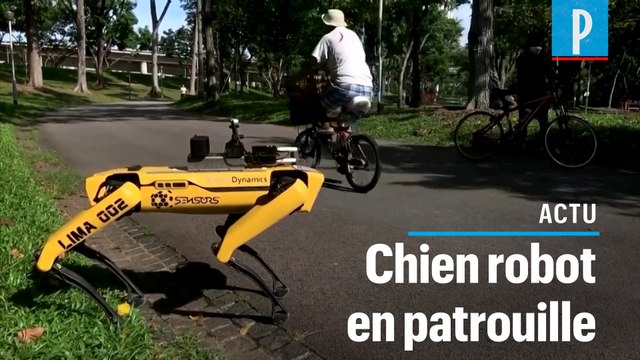 Singapour: un chien robot pour faire respecter la distanciation sociale