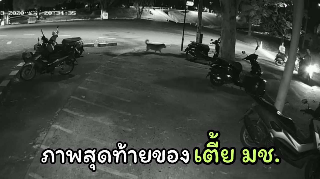 วงจรปิดจับภาพสุดท้าย เตี้ย มช. ขึ้นมอเตอร์ไซค์ไปกับชายปริศนา