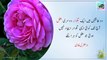 Best Collection of Ertugrul Ghazi Quotes in Urdu | Ertugrul Ghazi Urdu Quotes in Urdu - Ertugrul Ghazi