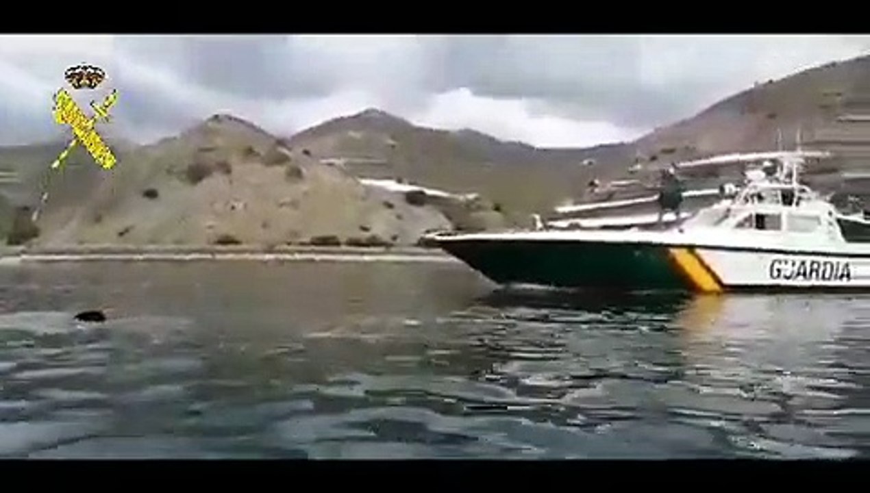 Avistado tubarão com mais de oito metros em praia de Granada