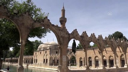 65 yaş ve üzeri vatandaşlar yeniden sokağa çıktı