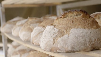 جولة في رحلة استكشافية لمناطق خالية من المخابز