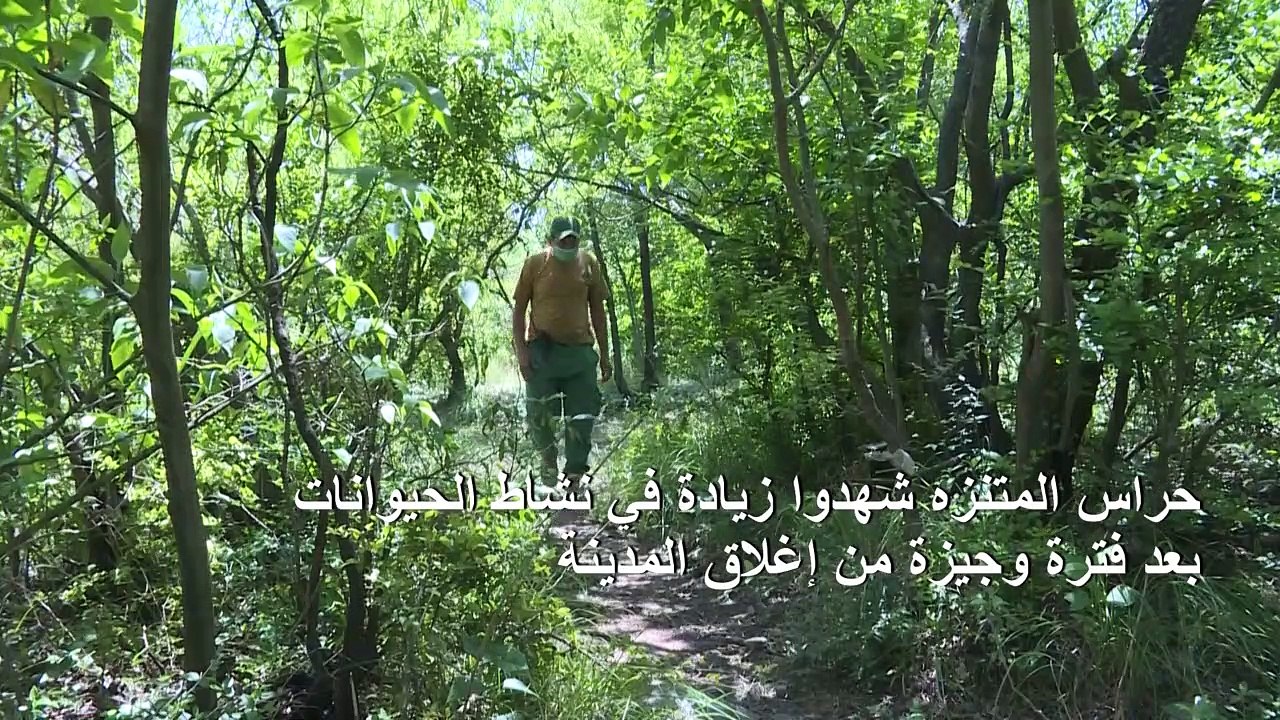 حيوانات متنزه وطني في إسلام اباد ترتاح من إزعاج البشر