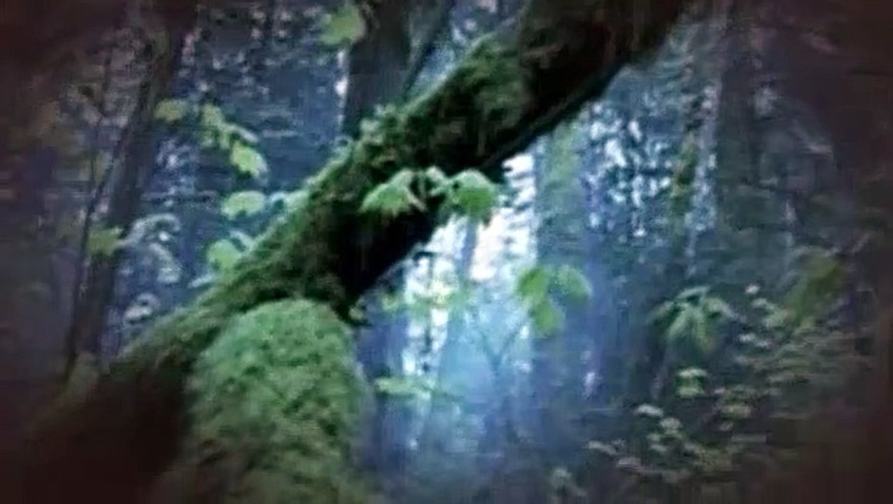 Stargate Atlantis S04E08 The Seer