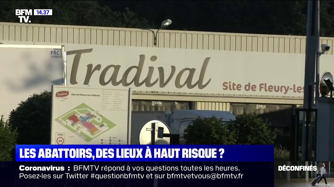 Coronavirus: que se passe-t-il dans les abattoirs ?