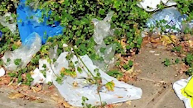 Los sevillanos denuncian el deplorable estado en el que se encuentra Sevilla por la pasividad del socialista Espadas