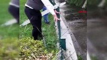 ANKARA Sulama kanalına düşen 2 köpeği itfaiye kurtardı