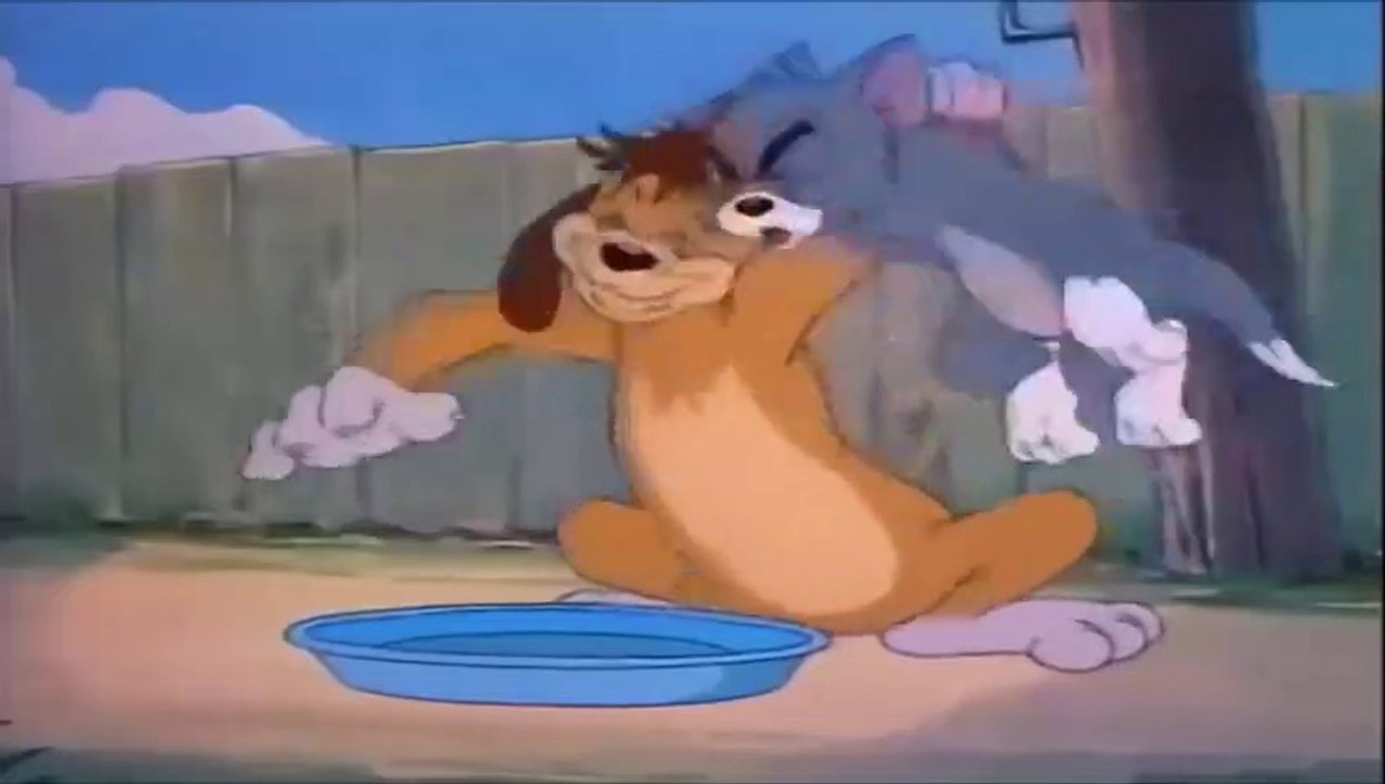 tom and jerry
