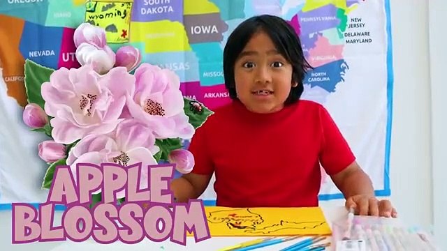 Ryan learns US States Facts about Michigan with DIY Painting and Coloring activity!!!