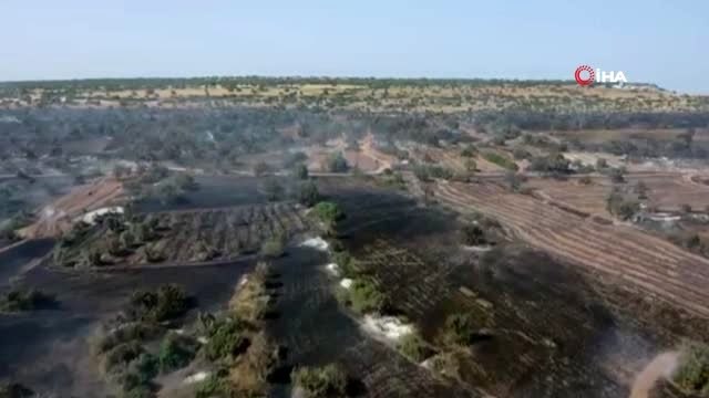 - KKTC'de üç farklı bölgede yangın devam ediyor- Güney Kıbrıs Rum Yönetimi uçak gönderdi